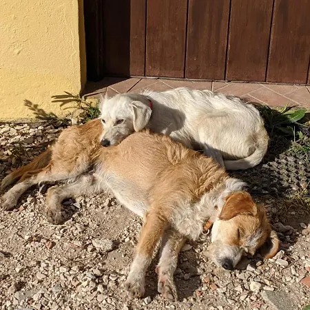 Casa de Férias Valvida *